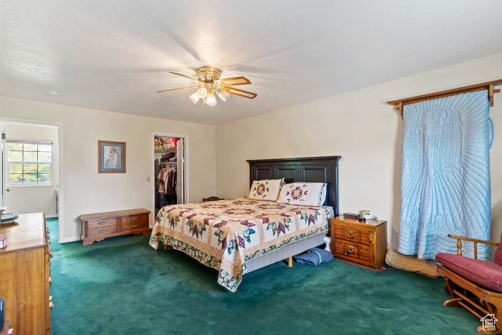 Carpeted bedroom featuring a walk in closet, ceiling fan, and a closet