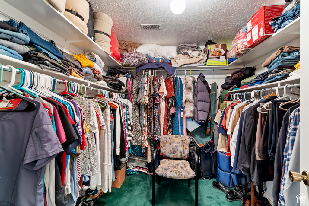 Walk in closet featuring carpet