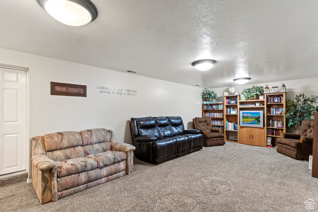 Living room featuring carpet floors and a textured ceiling