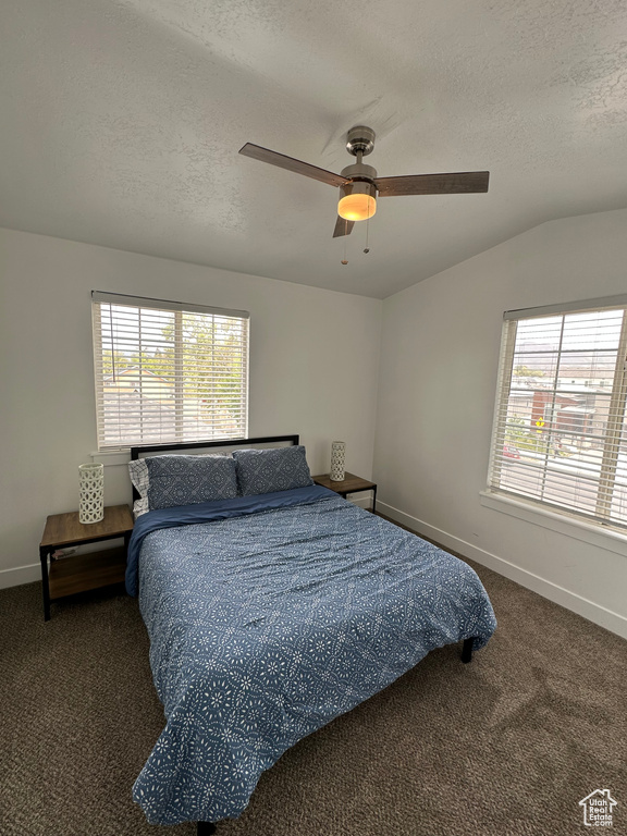 Bedroom featuring vaulted ceiling, carpet, multiple windows, baseboards, and a textured ceiling