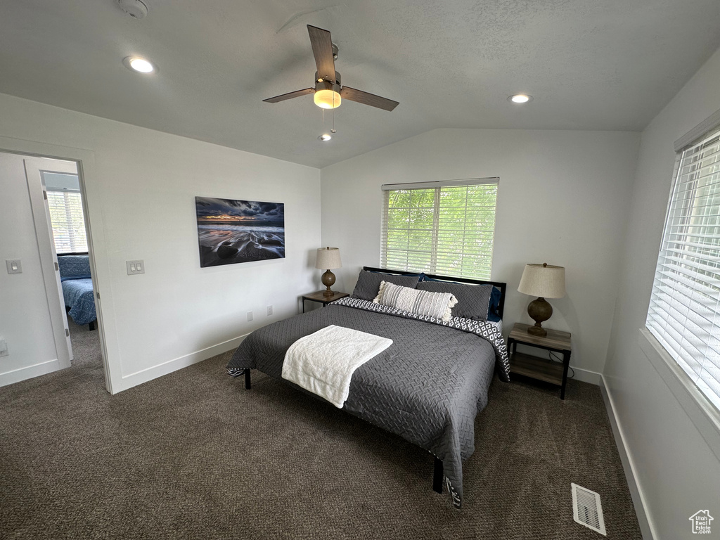 Bedroom featuring carpet flooring, multiple windows, baseboards, lofted ceiling, and ceiling fan
