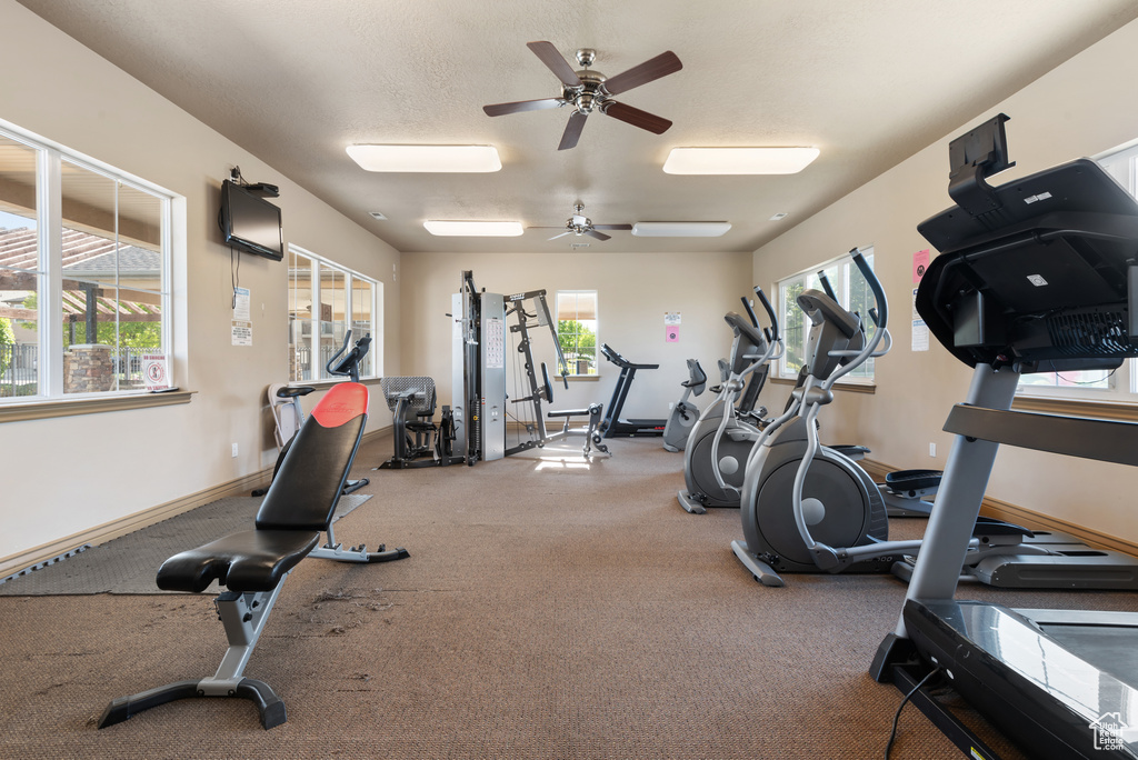 Gym with a ceiling fan and carpet