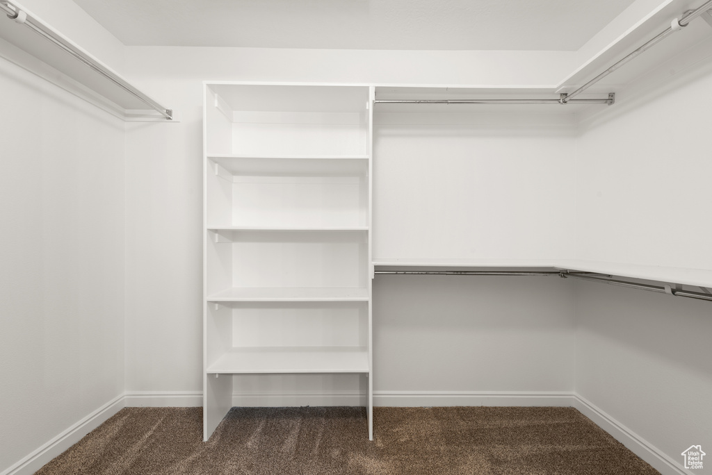 Walk in closet featuring dark colored carpet