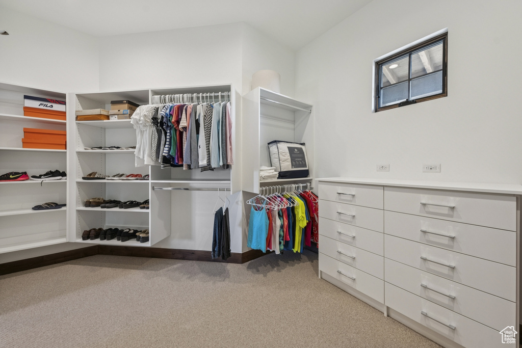 Spacious closet featuring carpet floors