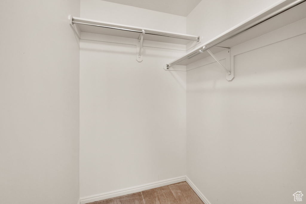 Walk in closet with light carpet