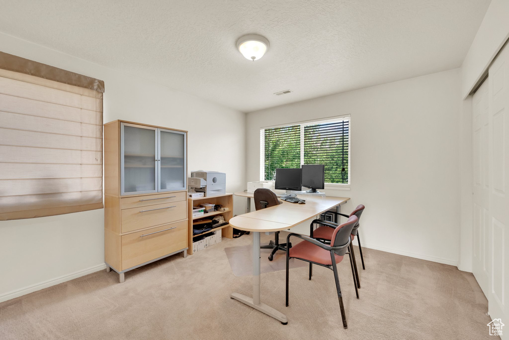 Office area with light colored carpet, baseboards, and a textured ceiling