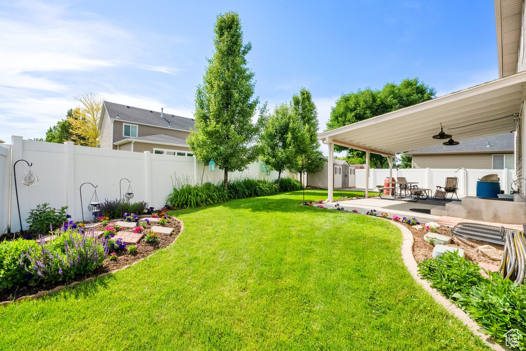 View of yard with a patio