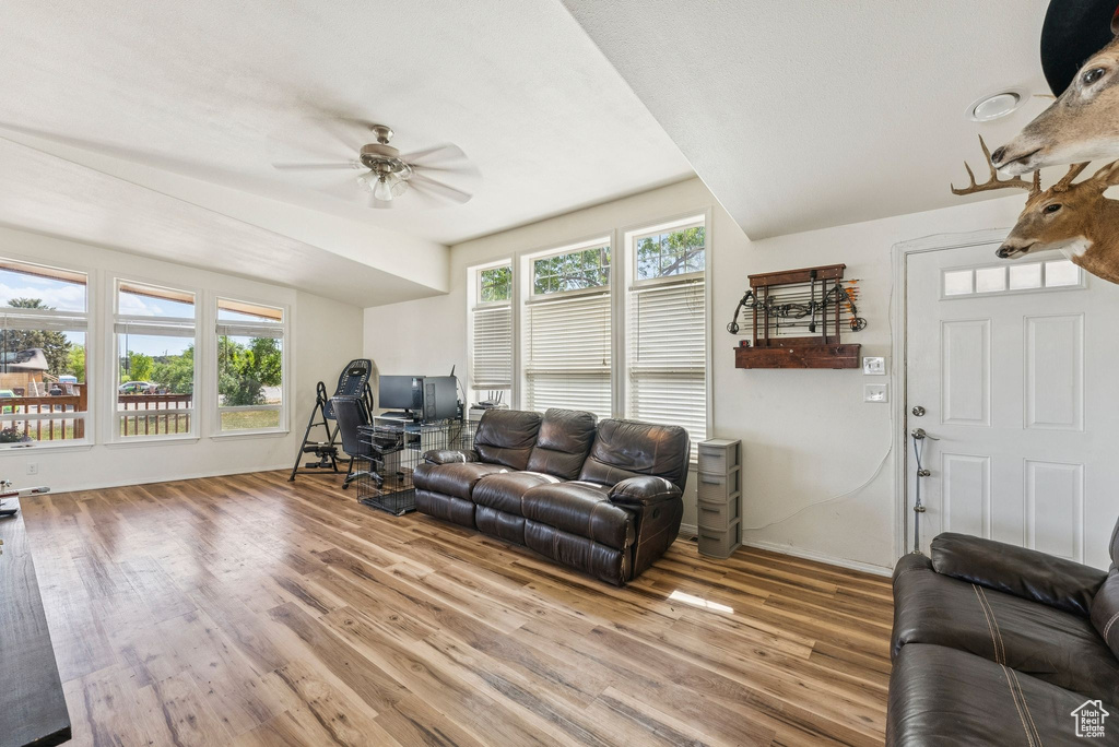Living area featuring a ceiling fan, light wood-type flooring, and baseboards