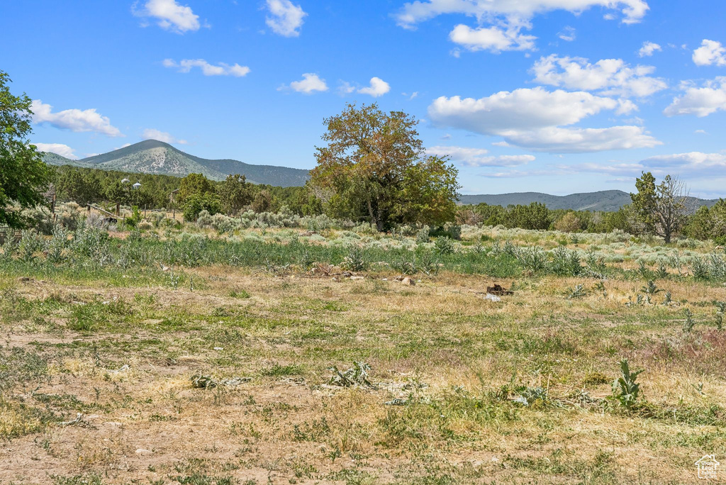 Mountain view