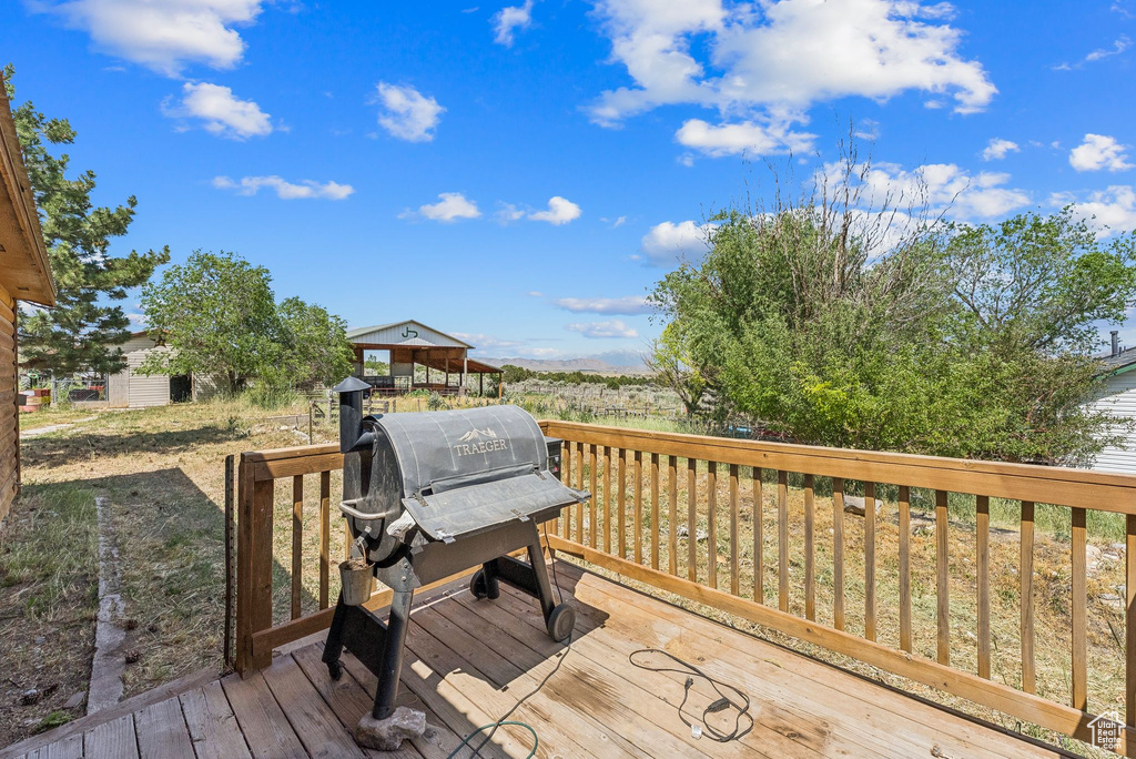 Deck with a grill