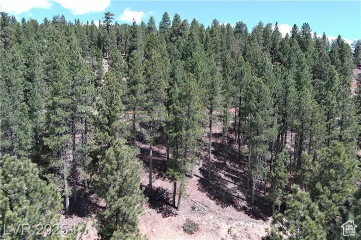 View of woods
