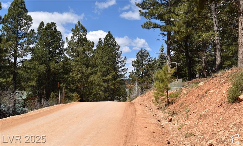 View of dirt / gravel road