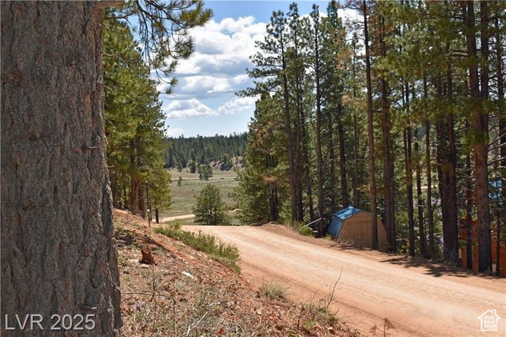 View of dirt / gravel road with a view of trees