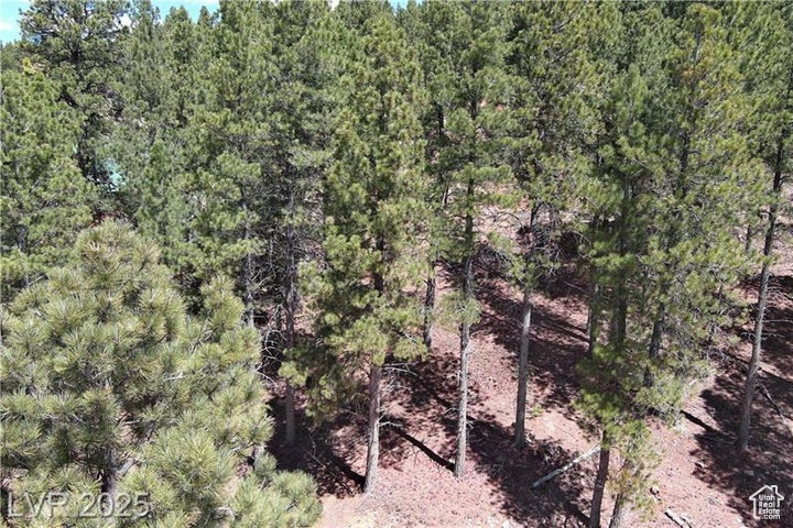 Aerial view of a heavily wooded area