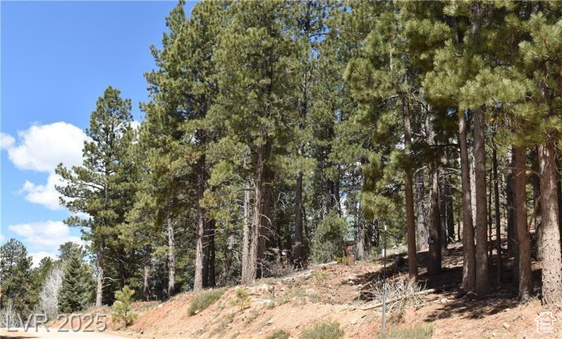 View of undeveloped land