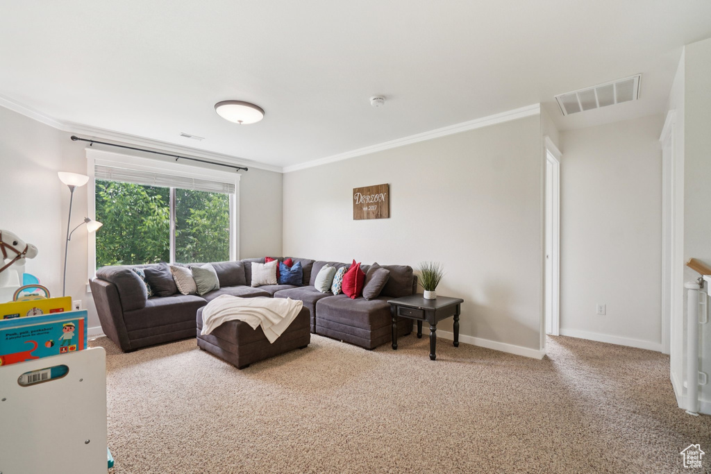 Living area with carpet, crown molding, and baseboards