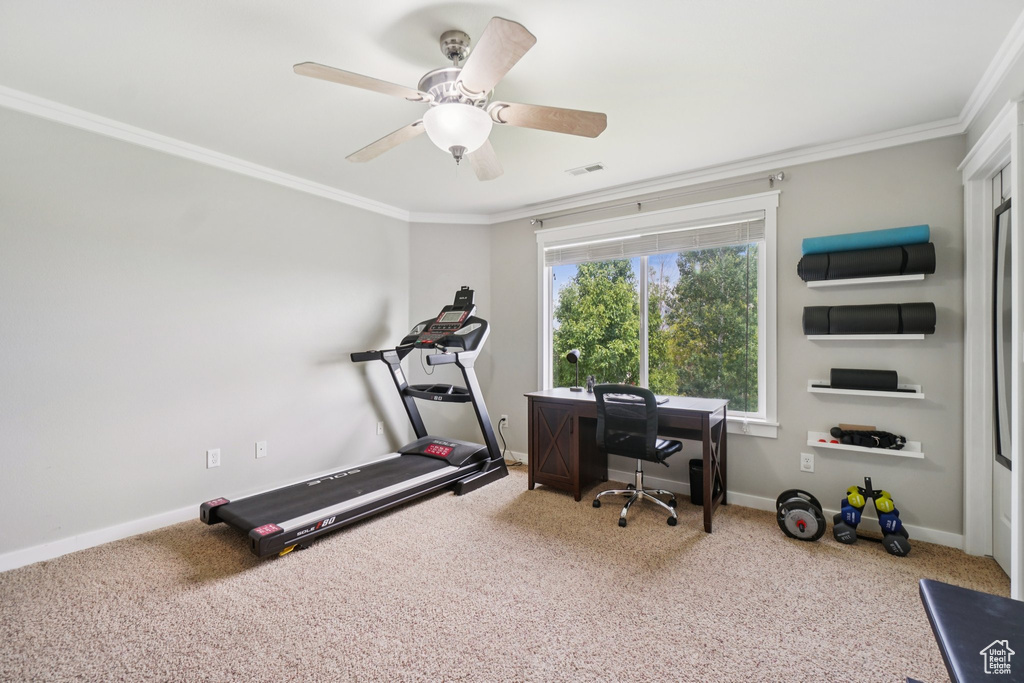 Workout area featuring ornamental molding, carpet, baseboards, and a ceiling fan