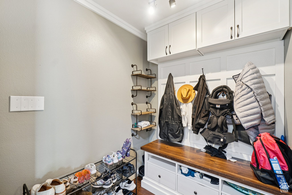 Mudroom featuring crown molding