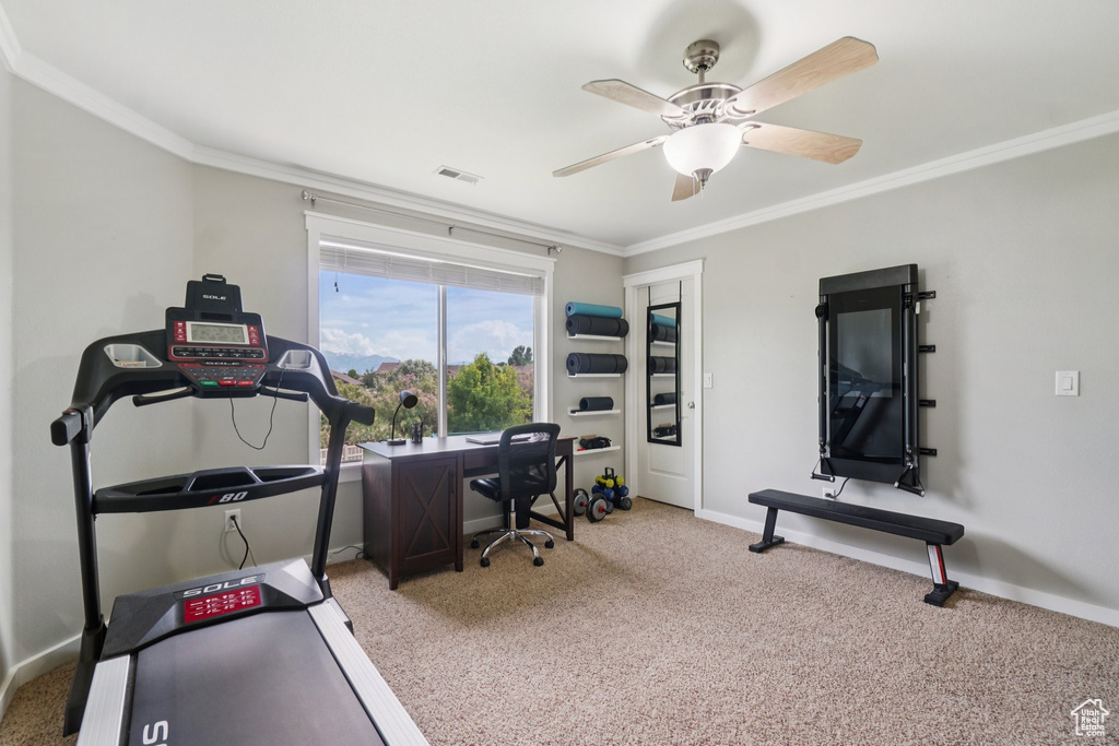 Office area with carpet flooring, ornamental molding, baseboards, and ceiling fan