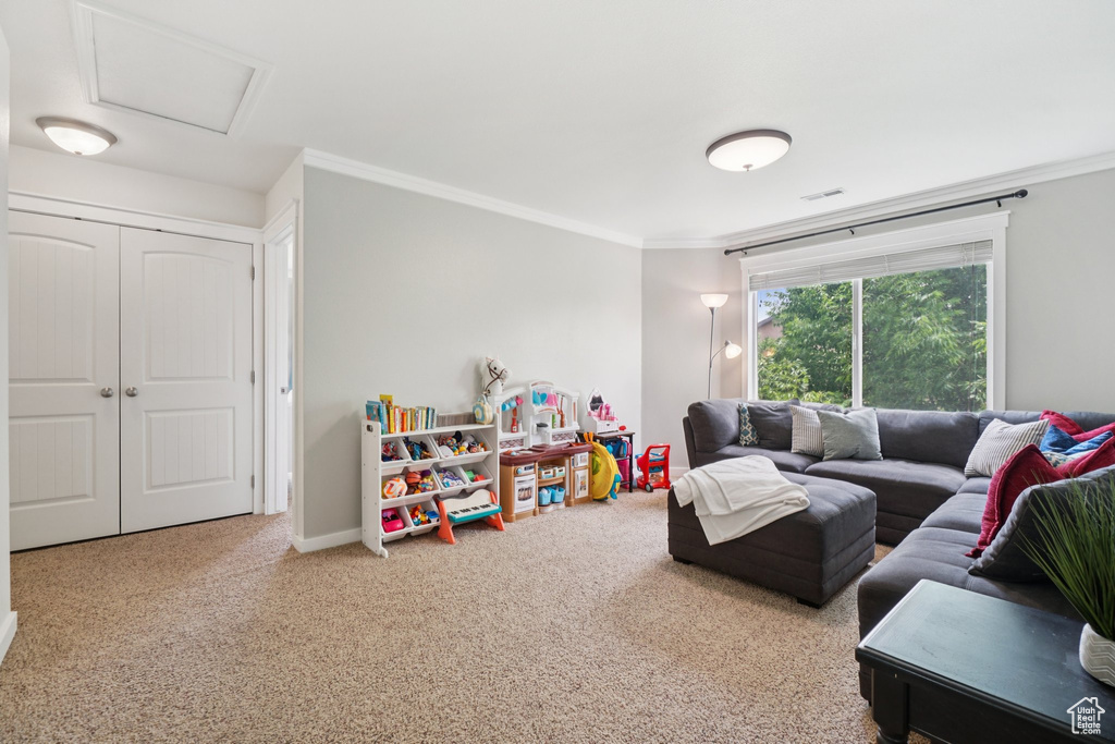 Carpeted living room with crown molding and attic access