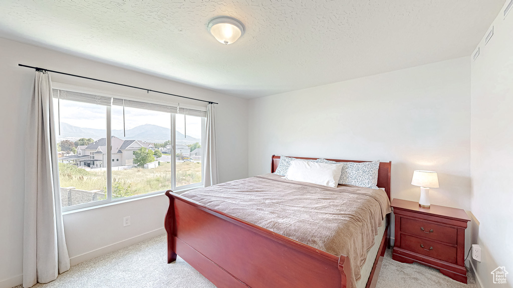 Bedroom featuring light colored carpet, baseboards, a textured ceiling, and a mountain view