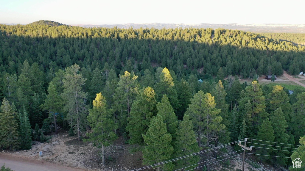 1730 E WILLIS CREEK CIR Duck Creek Village, UT 84762