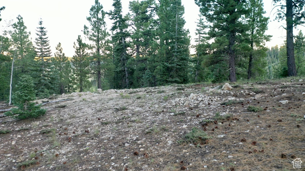 1730 E WILLIS CREEK CIR Duck Creek Village, UT 84762