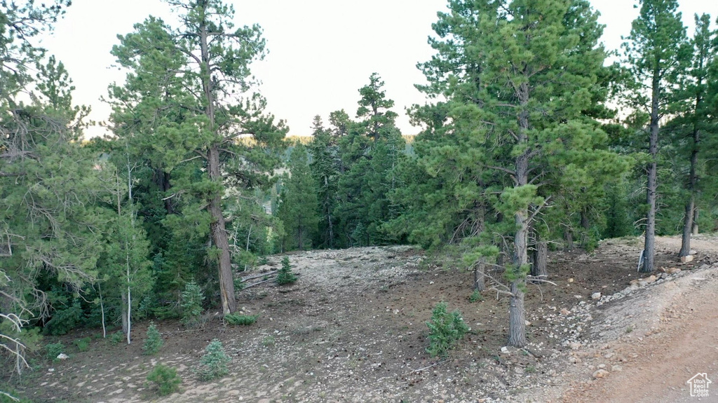 1730 E WILLIS CREEK CIR Duck Creek Village, UT 84762