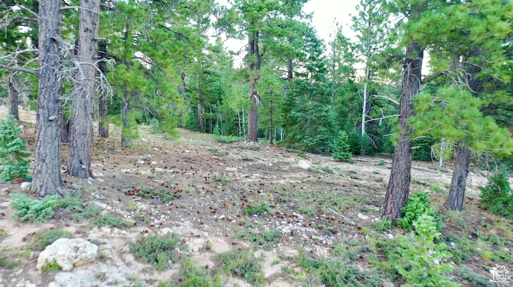 1730 E WILLIS CREEK CIR Duck Creek Village, UT 84762