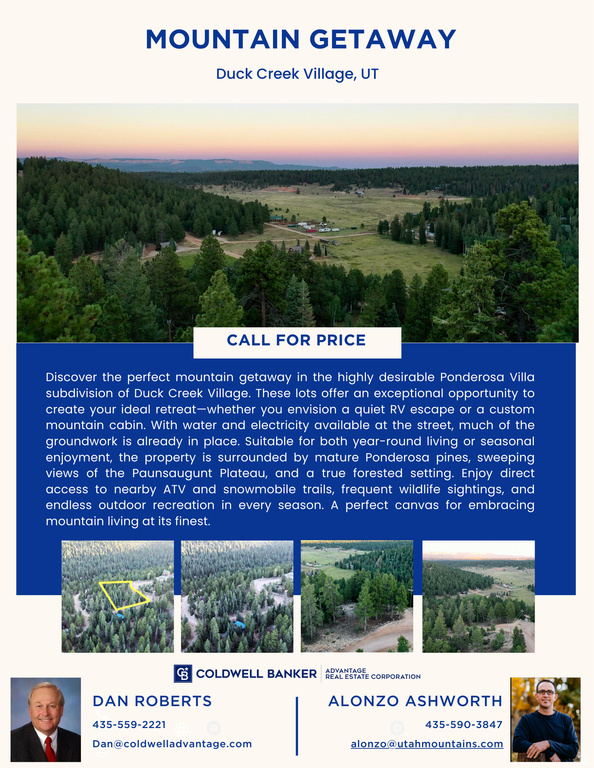 1730 E WILLIS CREEK CIR Duck Creek Village, UT 84762