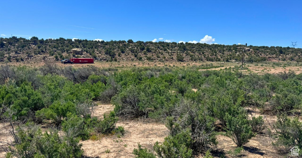 View of local wilderness