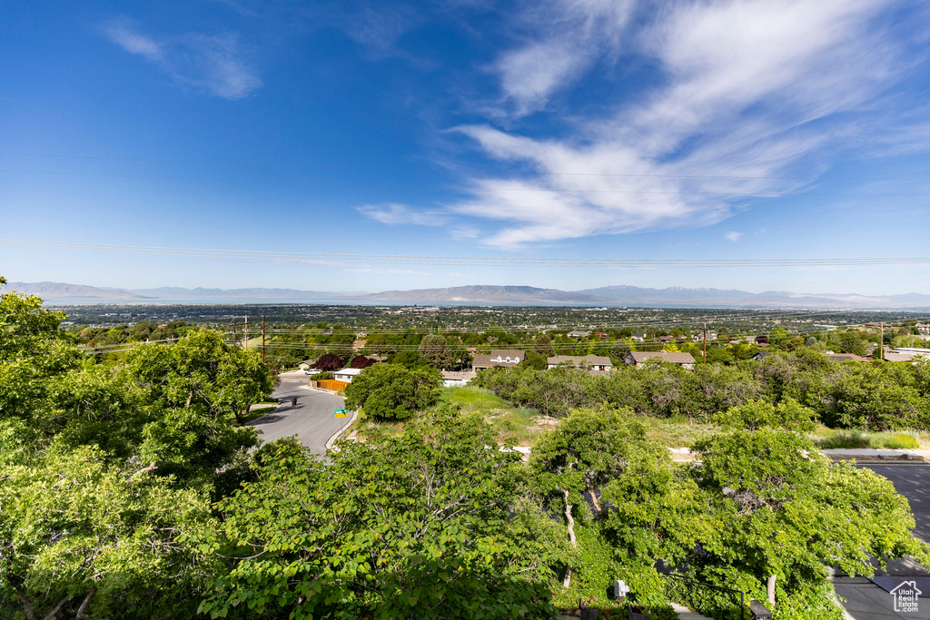 Mountain view