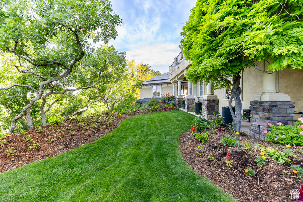 View of grassy yard