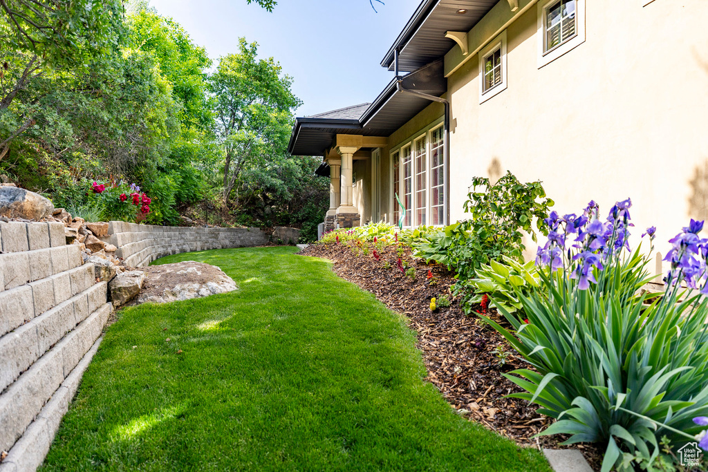 View of grassy yard
