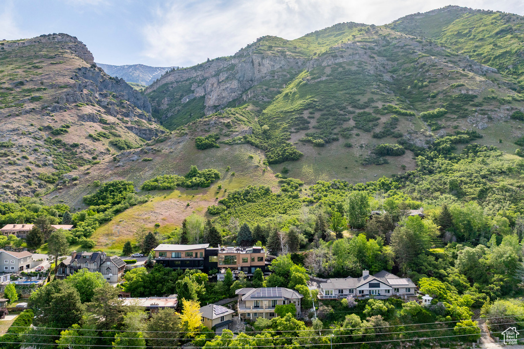 View of mountain background