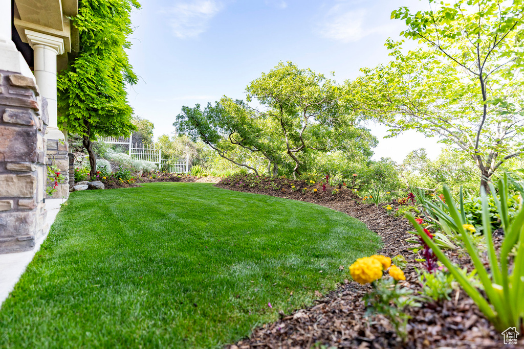 View of grassy yard