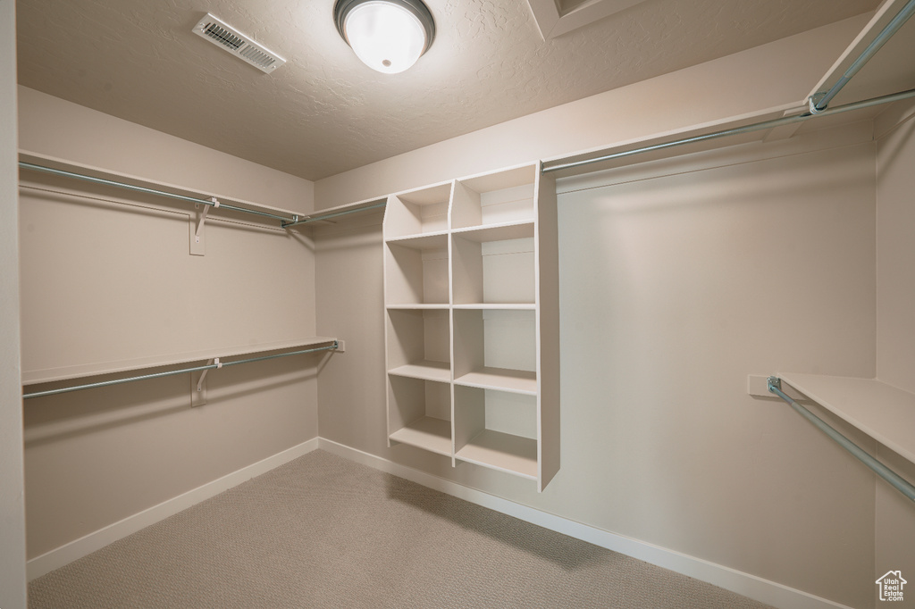Spacious closet with carpet