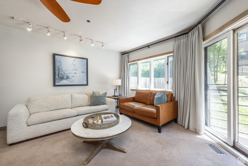 Living room with track lighting, light colored carpet, and plenty of natural light