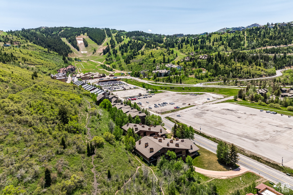 Bird's eye view of a heavily wooded area