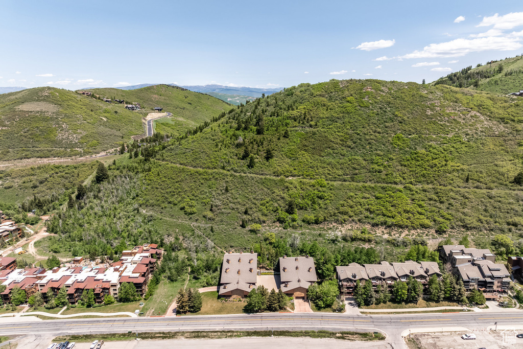Aerial view of residential area featuring a mountain backdrop and a forest