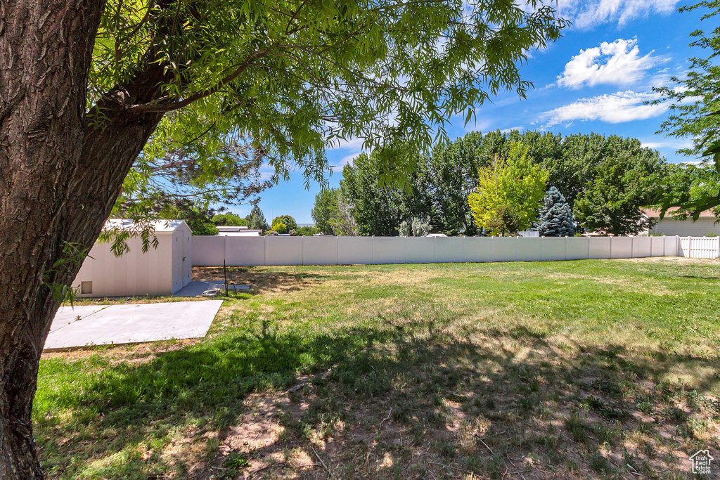 View of yard featuring a patio
