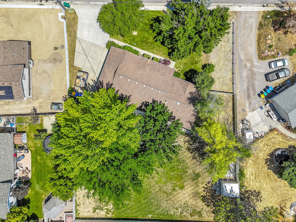 Bird\'s eye view