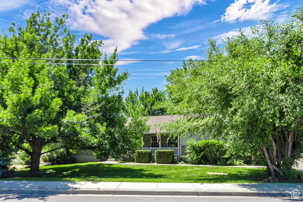 View of property hidden behind natural elements with a front yard