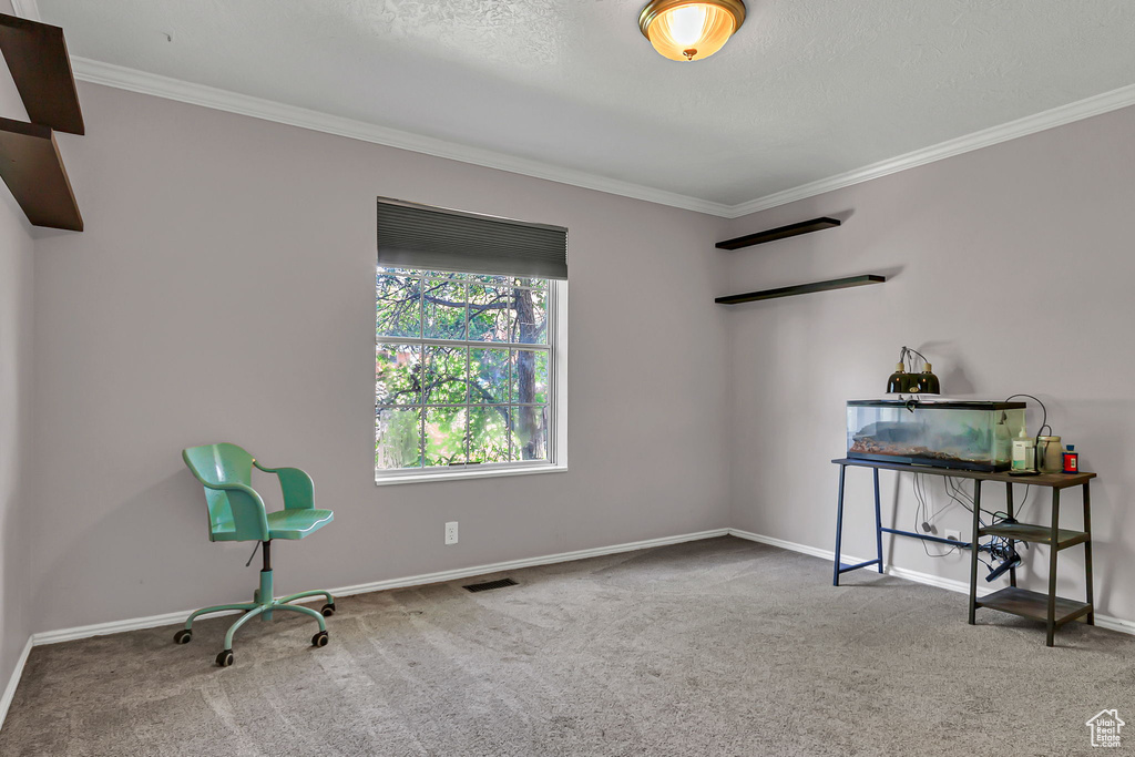 Unfurnished room with carpet floors, ornamental molding, and baseboards