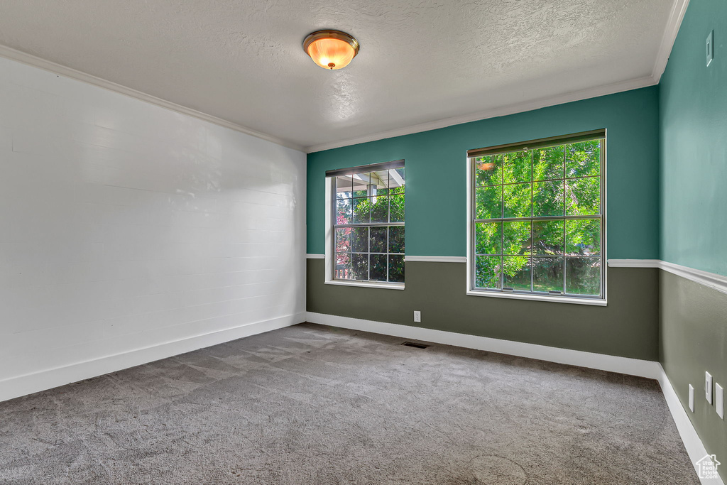 Carpeted empty room with a textured ceiling, ornamental molding, and baseboards