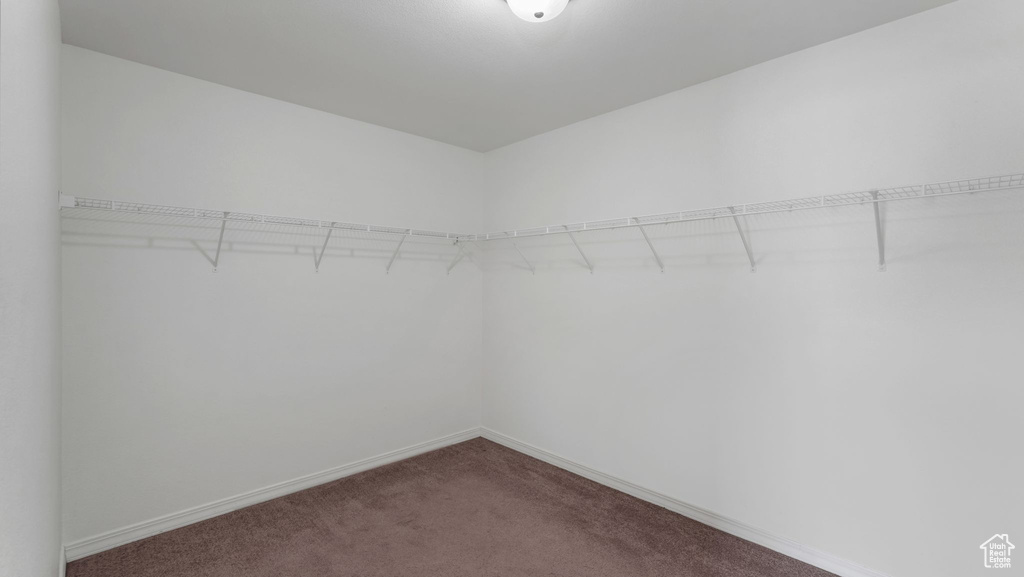 Spacious closet featuring dark carpet
