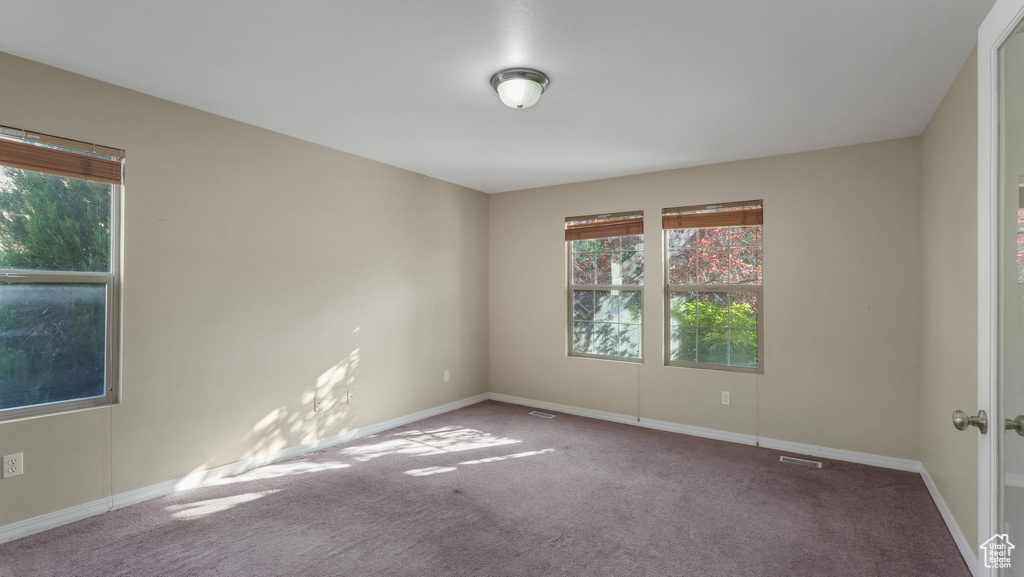 Carpeted spare room with healthy amount of natural light and baseboards