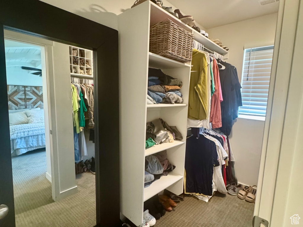 Walk in closet with carpet floors