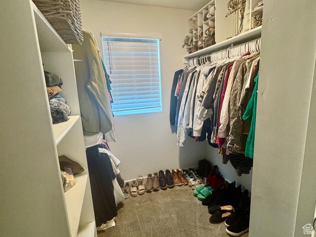Spacious closet with carpet flooring