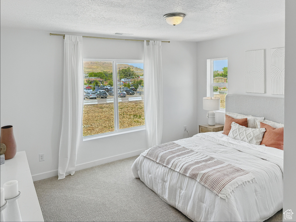 Bedroom with carpet floors, multiple windows, a textured ceiling, and baseboards